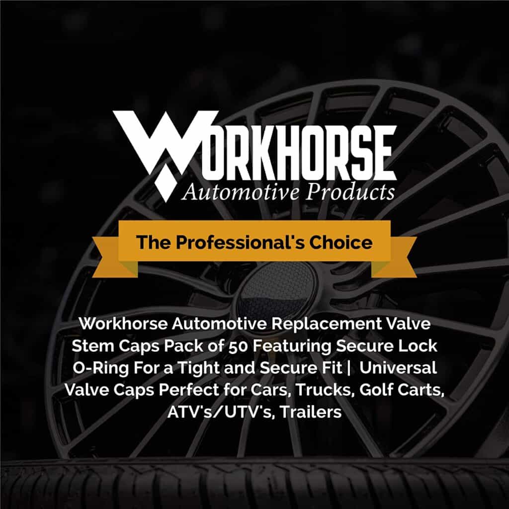 Replacement Valve Stem Caps Pack Of 50 Workhorse Automotive Products