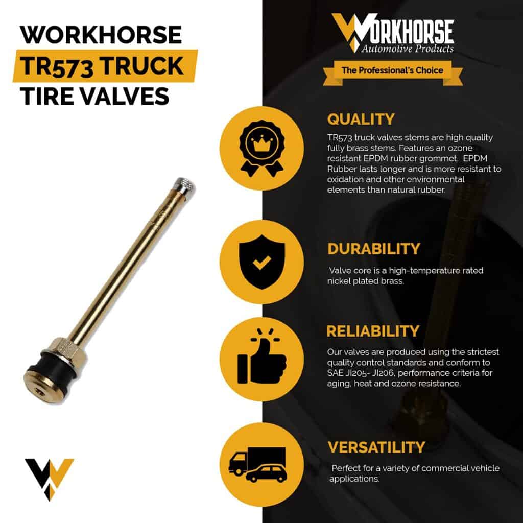 TR573 Truck Tire Valves, Replacement Truck Valve Stems, Pack Of 10 ...