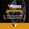 Workhorse - The Professional's Choice