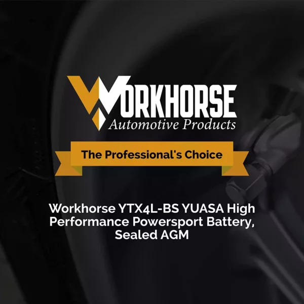 YTX4LBS High Performance Powersport Battery