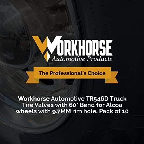 Workhorse Automotive Product Logo for TR546D truck valves.