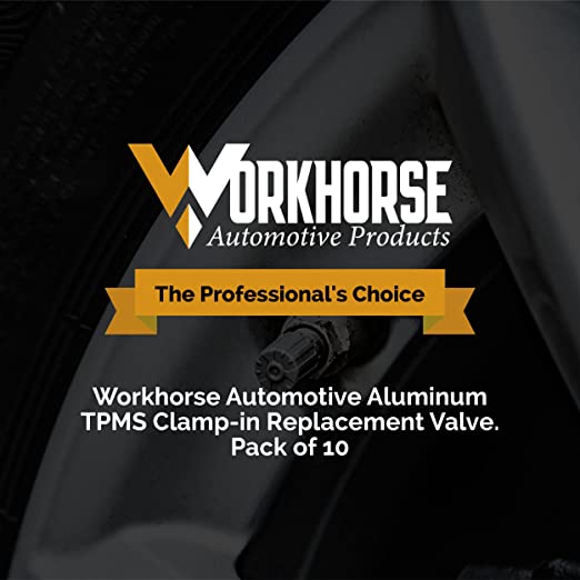 Workhorse Automotive Products. The Professional's Choice.